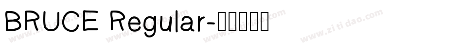 BRUCE Regular字体转换